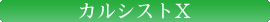 カルシストⅩ